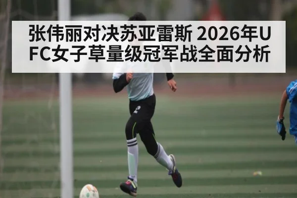 张伟丽对决苏亚雷斯 2026年UFC女子草量级冠军战全面分析